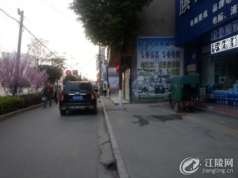 130203yrwzha1awwbtzzfh.jpg