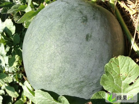 70734_562608.jpg