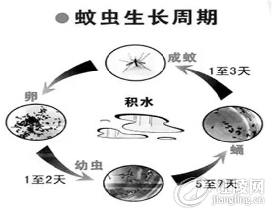 640.webp (23).jpg