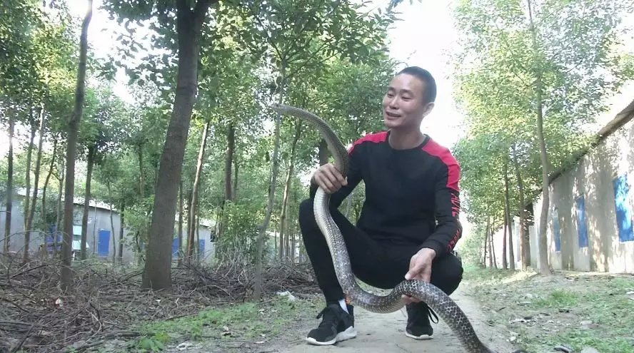 @ö