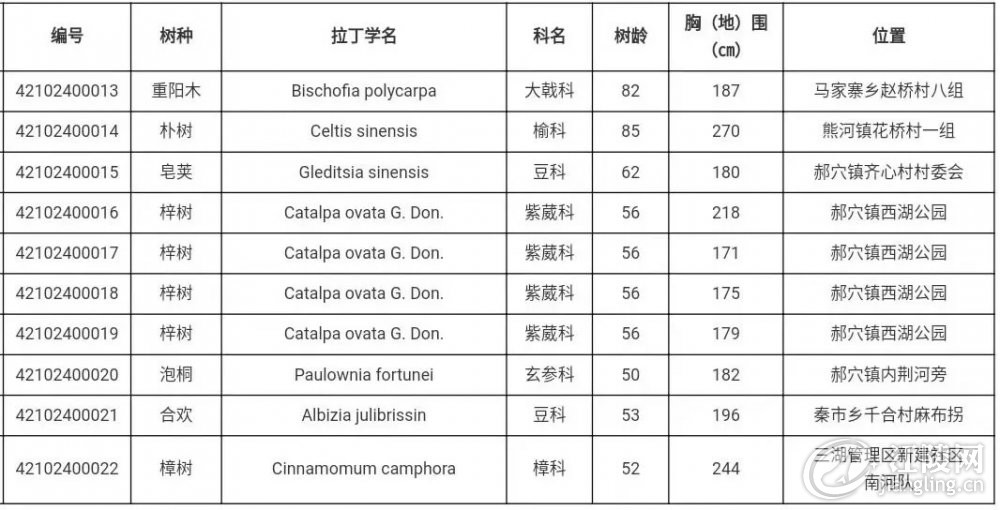 640.webp (3).jpg